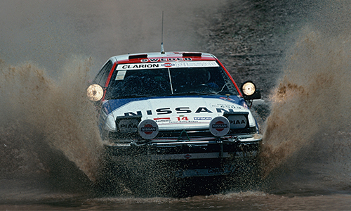 1552273556403261.jpg 8.jpg